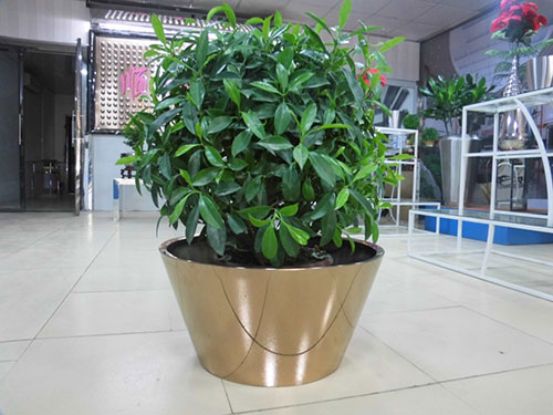 廣東汕頭不銹鋼花盆哪家做的好？