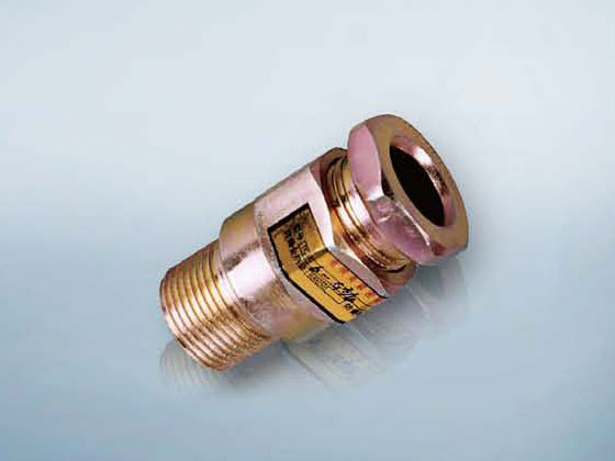 BDM系列電纜夾緊密封接頭-Ⅵ型-(d-Ⅱ、e)